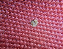 Passie Voor Glans | Detailing