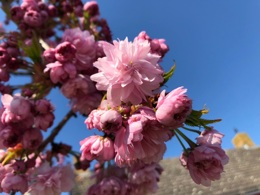 Passie voor Glans | Detailing