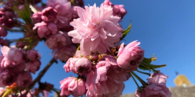 Passie voor Glans | Detailing