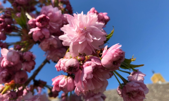 Passie voor Glans | Detailing