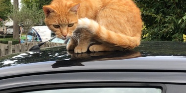 Passie voor Glans | Detailing #passiemaaktverschil