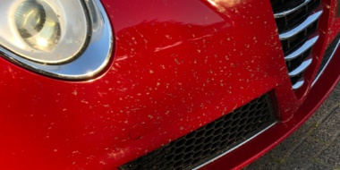 Passie voor Glans Autolakspecialist